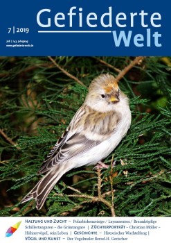 GW2019-07_U1_Titel