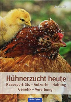 Huehnerzucht_heute