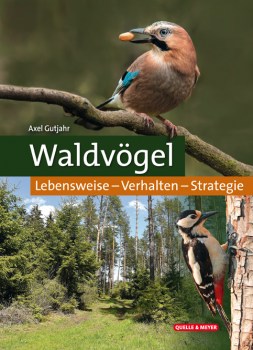 Waldvoegel